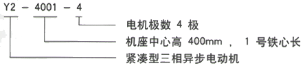 YR系列(H355-1000)高压YJTGKK5004-8三相异步电机西安西玛电机型号说明